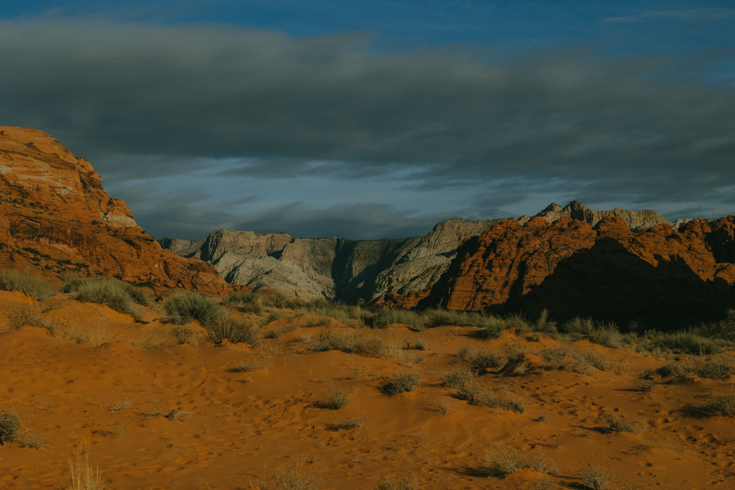 beautiful Utah nature photo from Kennedi Brooke