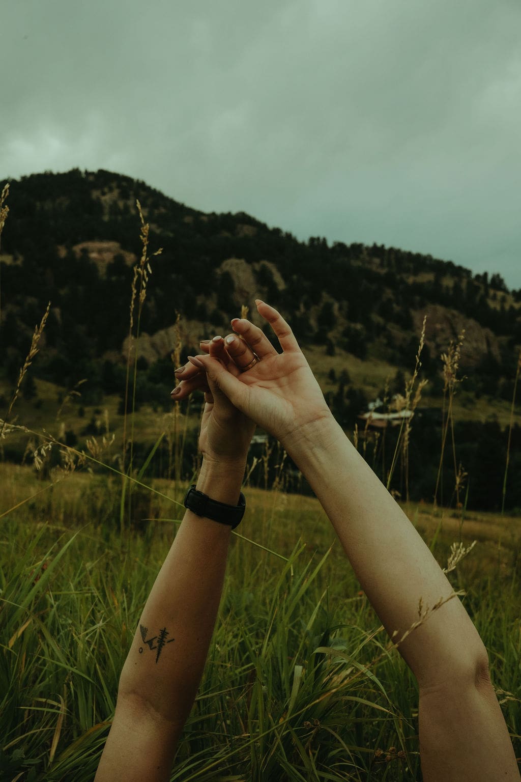 couple lay in a field together and hold hands